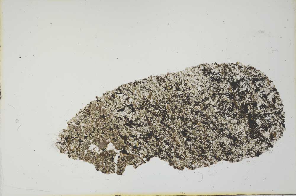 Plane Polarized, S19980