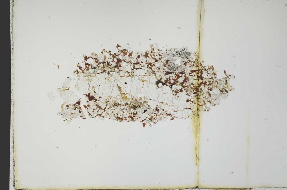 Plane Polarized, S19984