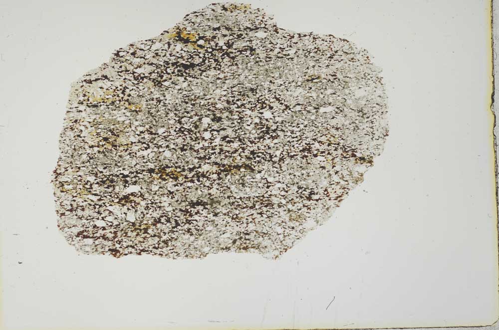 Plane Polarized, S19985