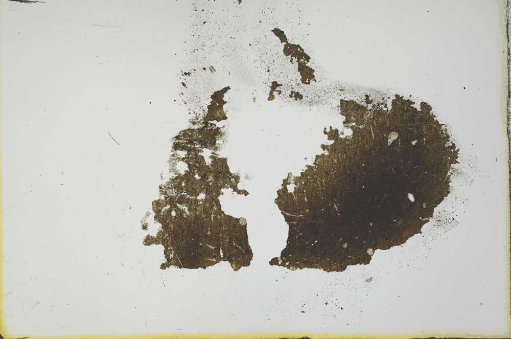 Plane Polarized, S19995