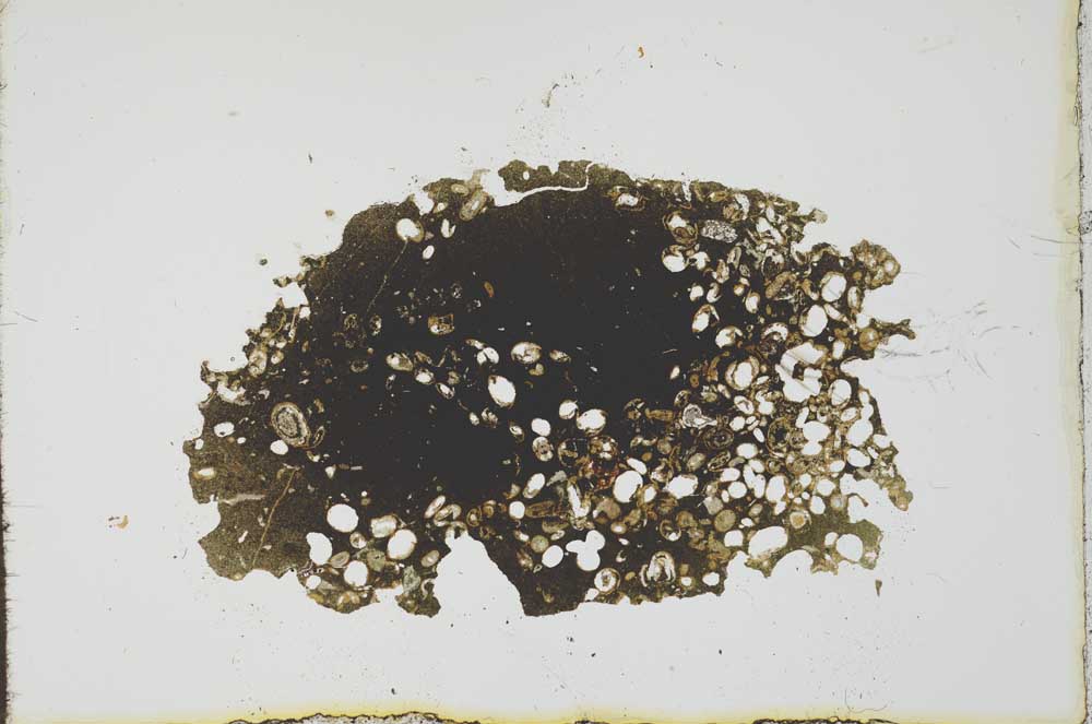 Plane Polarized, S19997