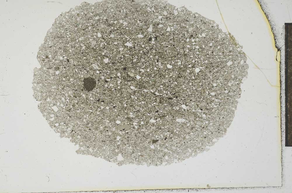 Plane Polarized, S20004