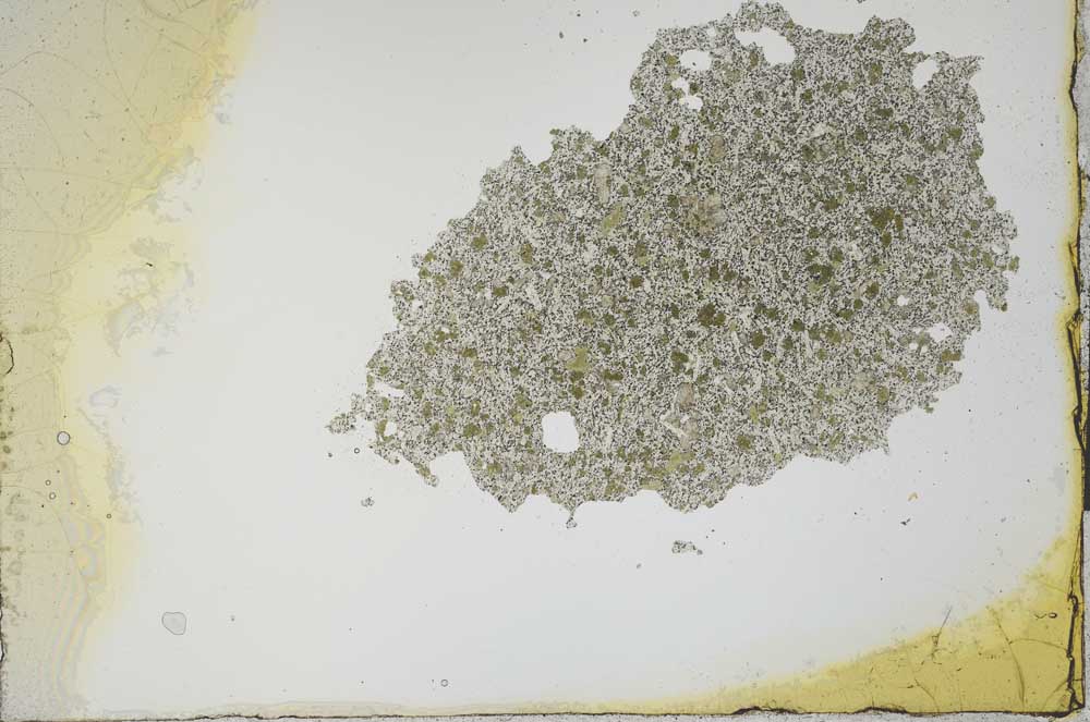 Plane Polarized, S20110