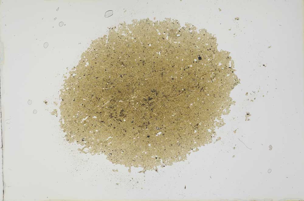 Plane Polarized, S20193