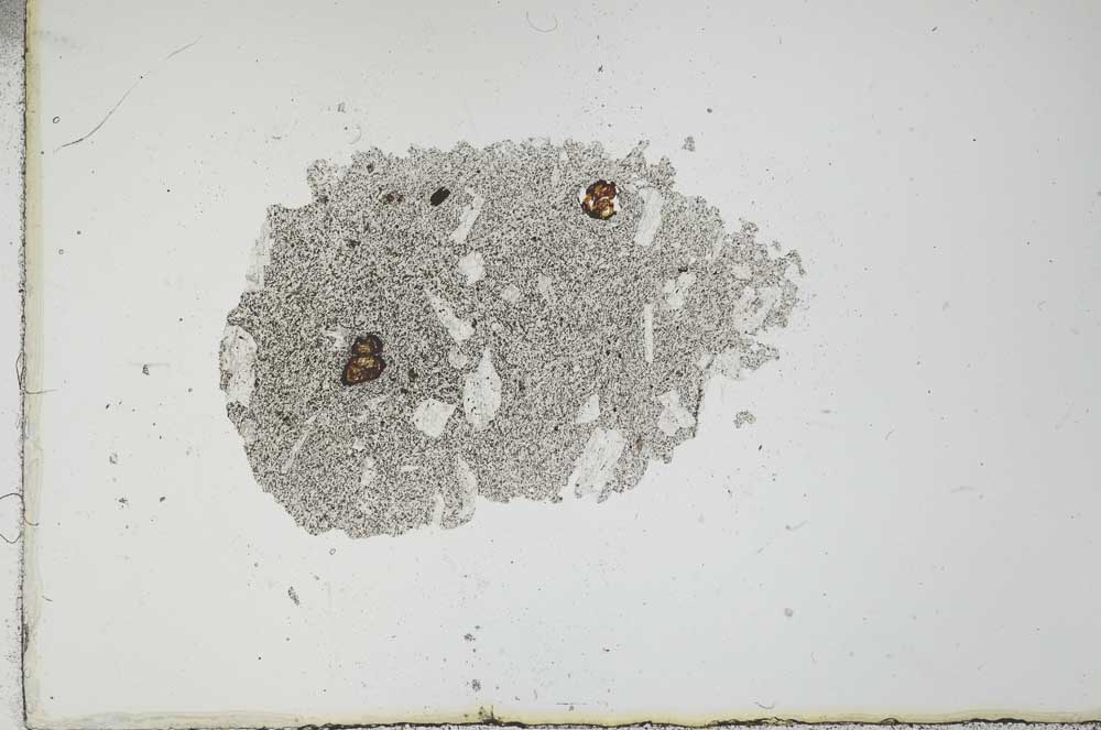 Plane Polarized, S20197