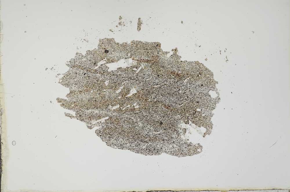 Plane Polarized, S20206