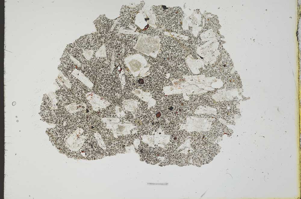 Plane Polarized, S20207