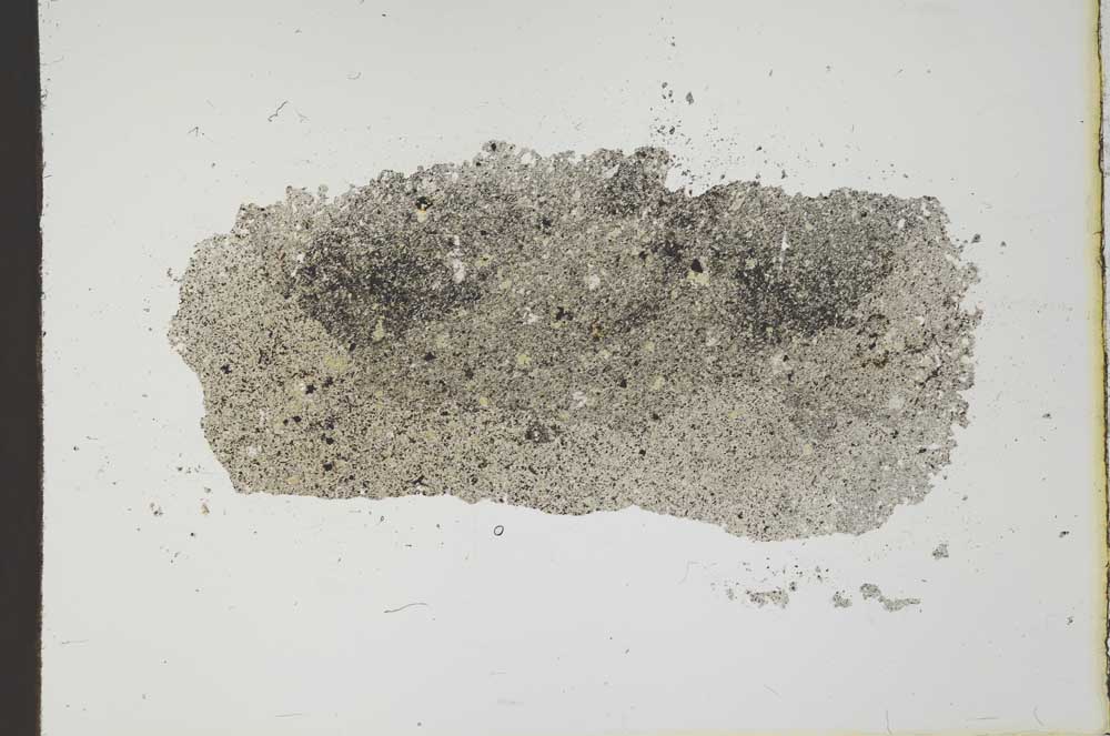 Plane Polarized, S20226