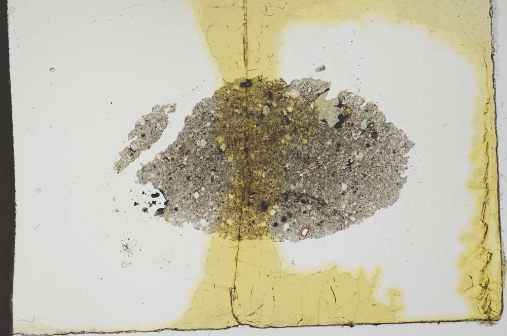 Plane Polarized, S20231