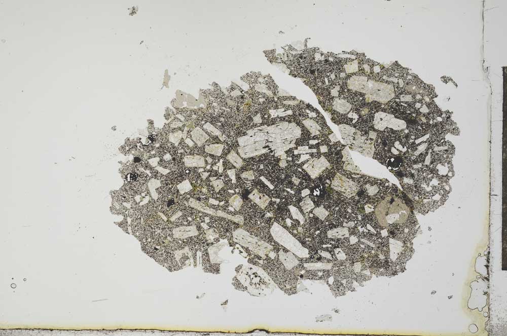 Plane Polarized, S20242
