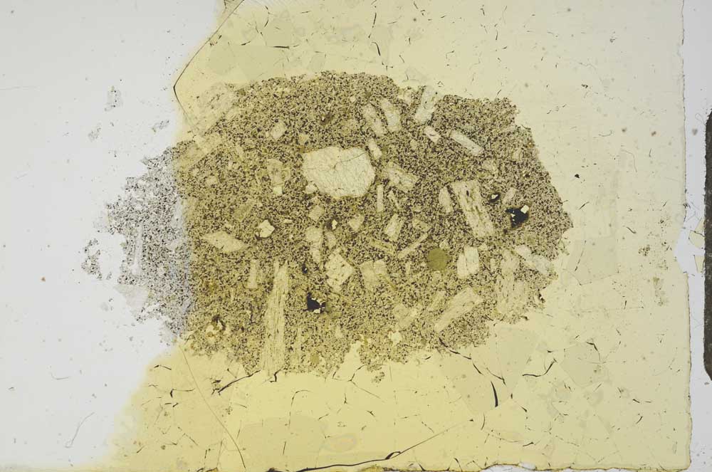 Plane Polarized, S20243