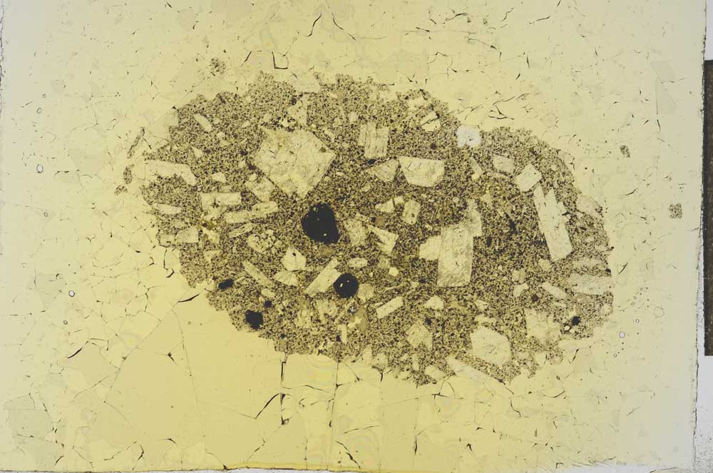 Plane Polarized, S20245