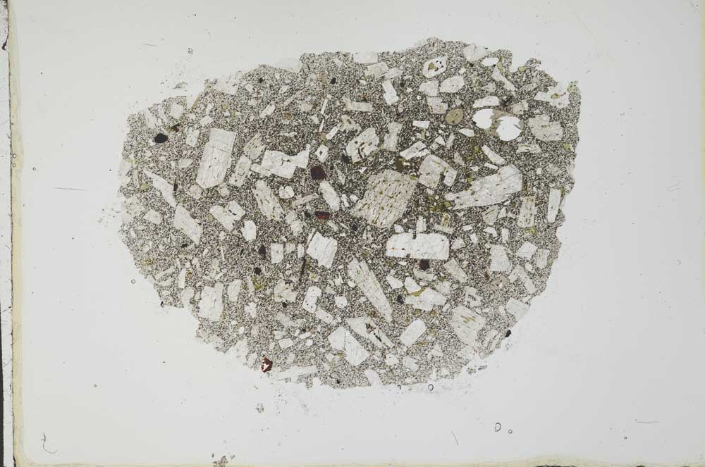 Plane Polarized, S20254