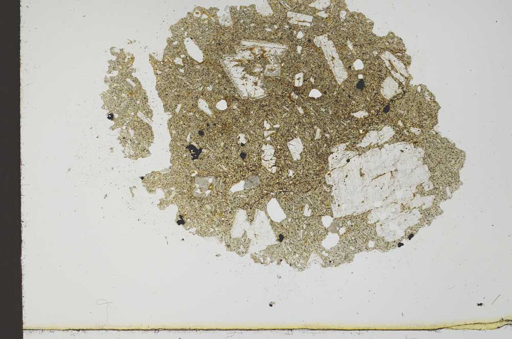 Plane Polarized, S20258