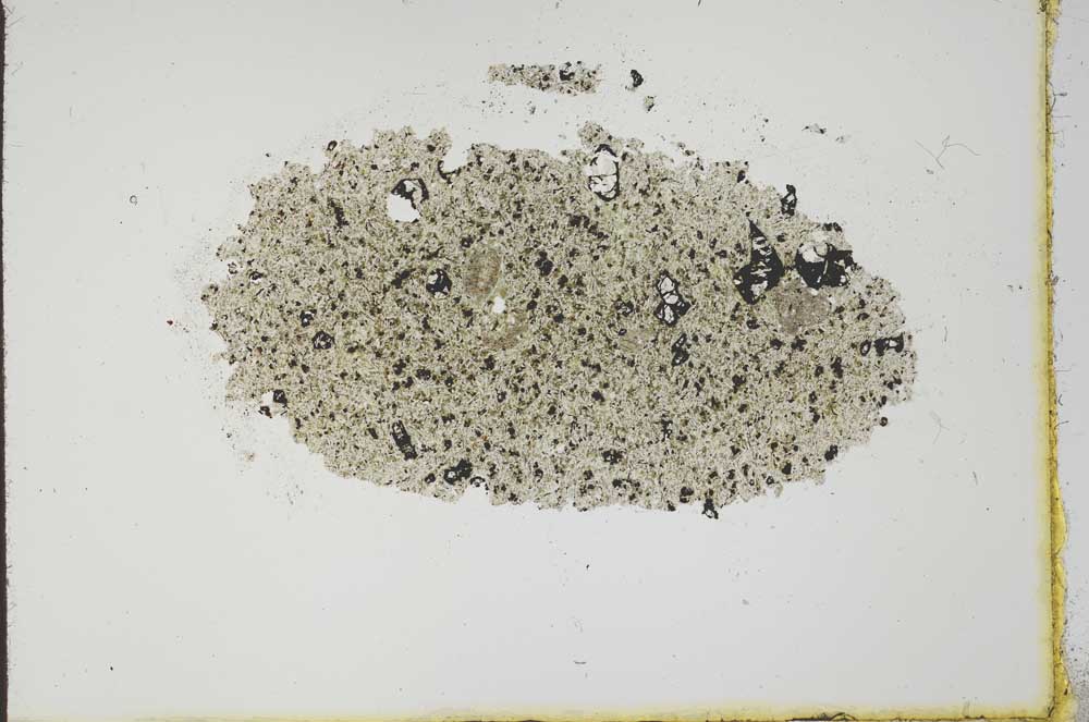 Plane Polarized, S20266
