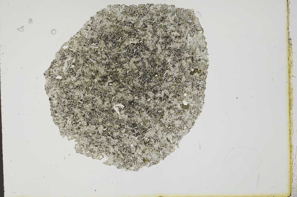 Plane Polarized, S20269