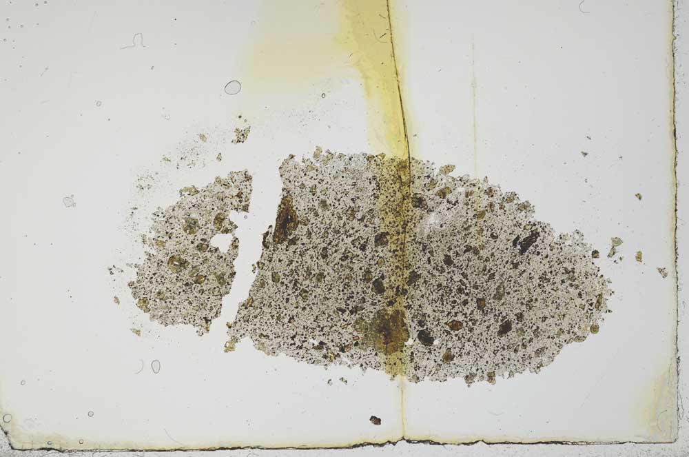 Plane Polarized, S20270