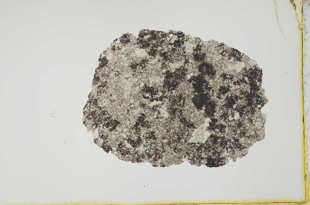 Plane Polarized, S20292