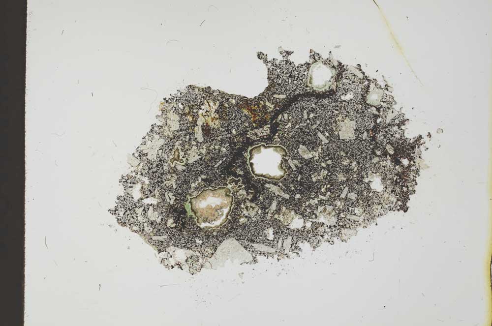 Plane Polarized, S20294