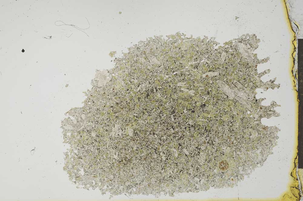 Plane Polarized, S20295