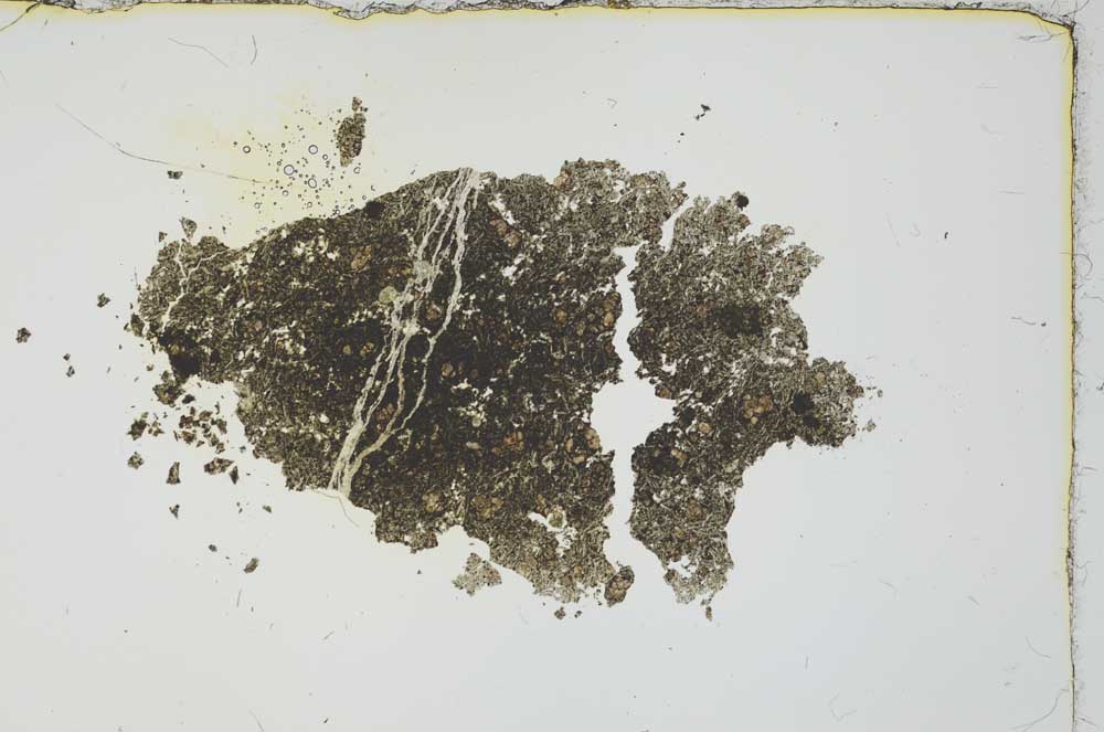 Plane Polarized, S20296