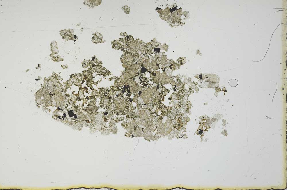 Plane Polarized, S20313