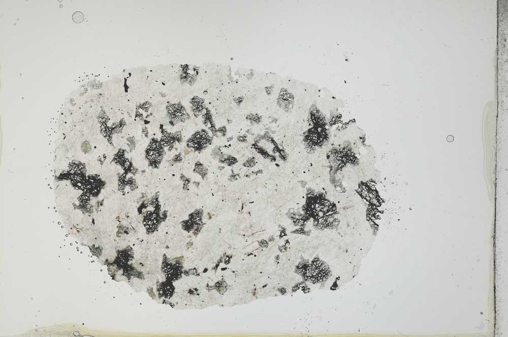 Plane Polarized, S20361