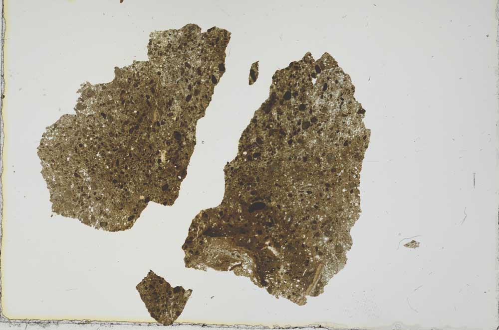Plane Polarized, S20375