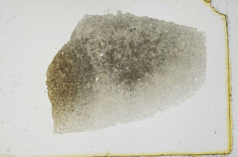 Plane Polarized, S20376