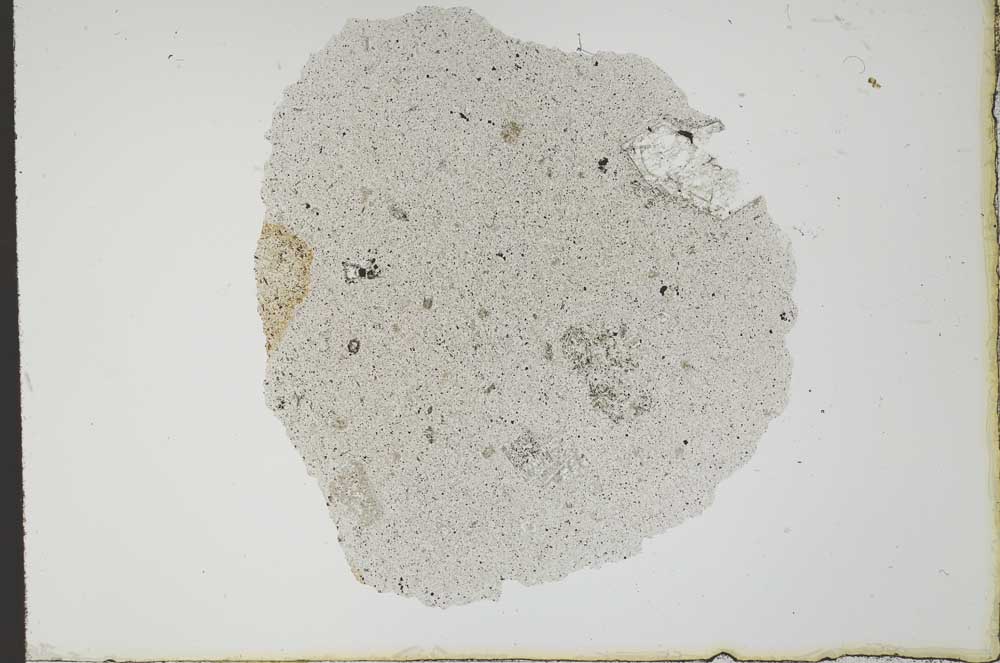 Plane Polarized, S20384