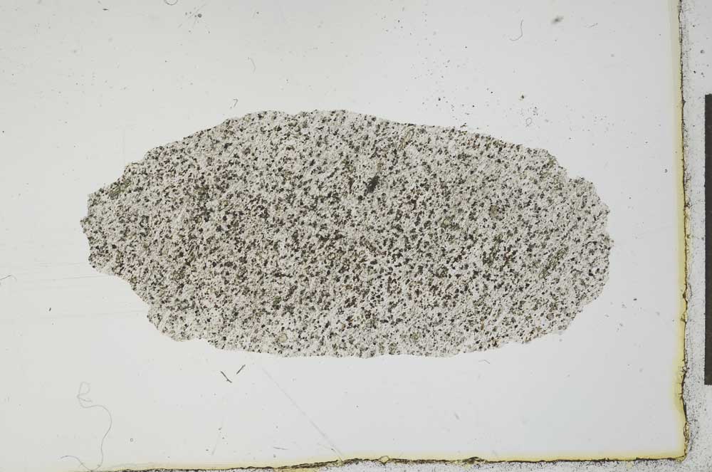 Plane Polarized, S20393