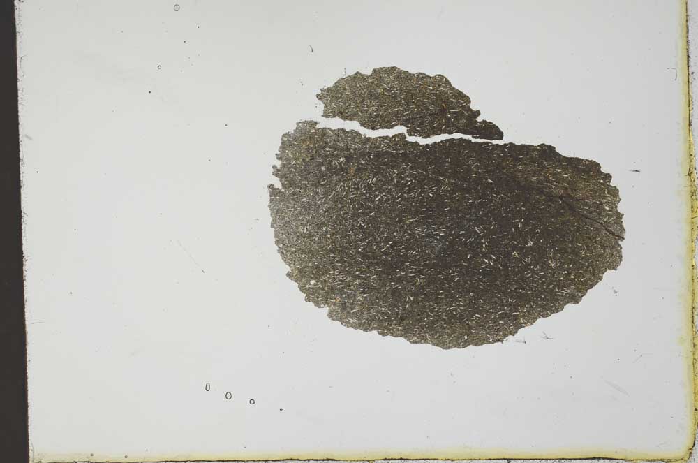 Plane Polarized, S20421