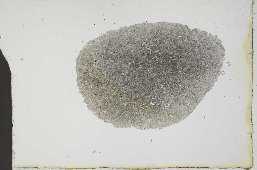 Plane Polarized, S20422