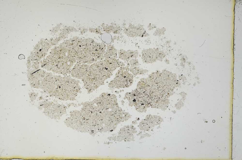 Plane Polarized, S20445