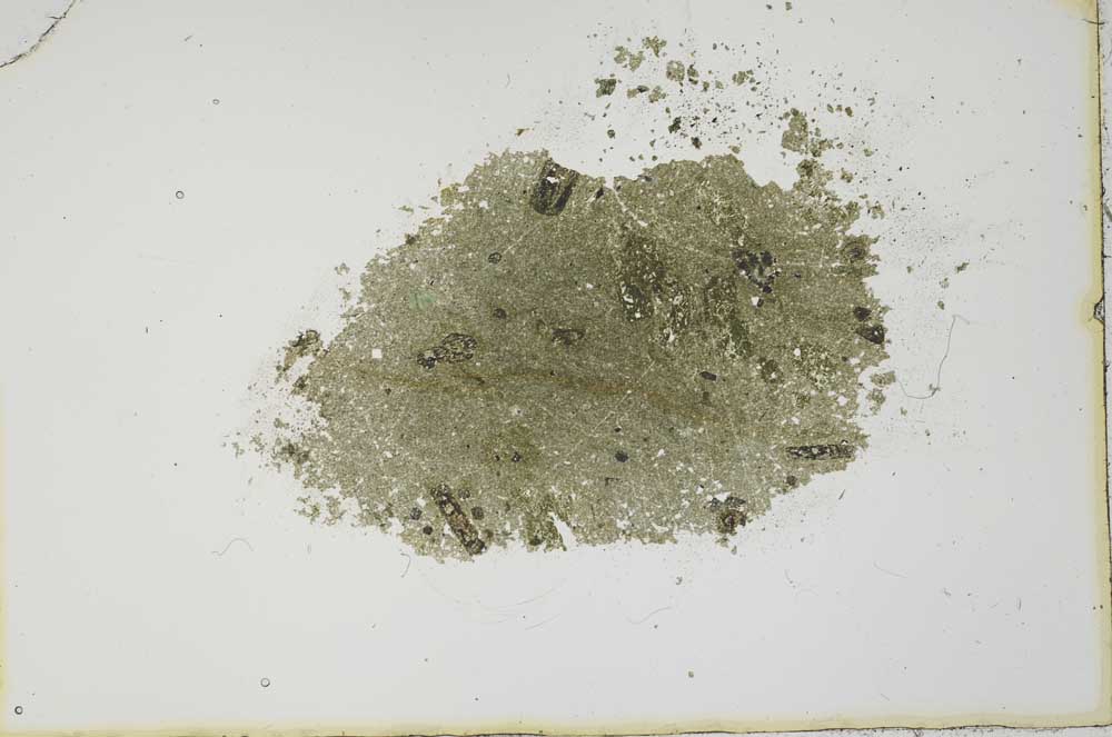 Plane Polarized, S20447