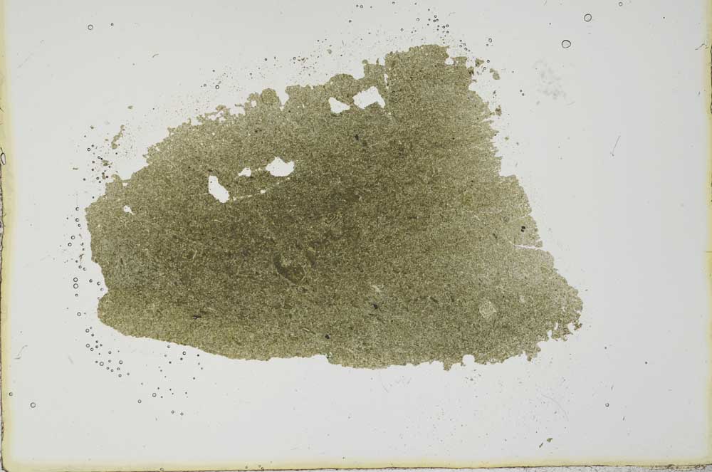 Plane Polarized, S20448