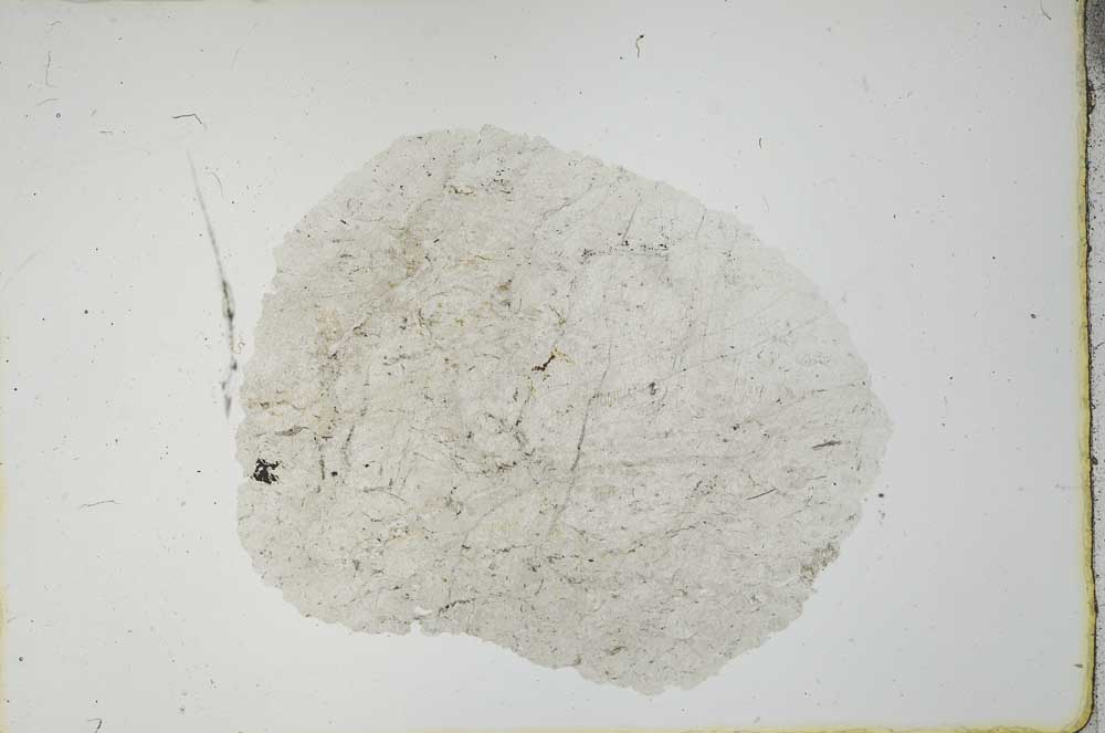 Plane Polarized, S20464