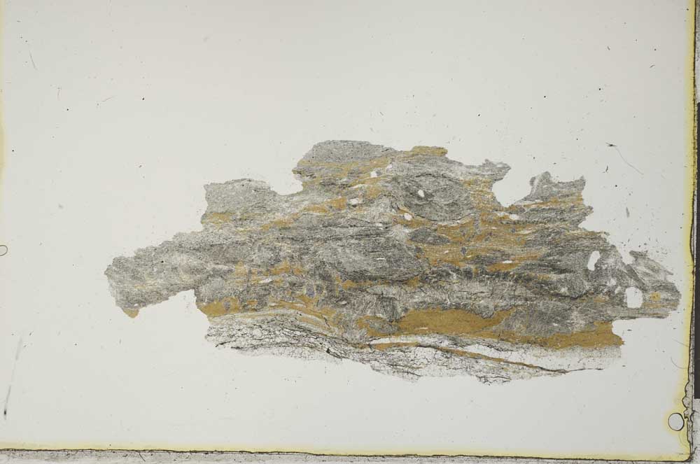 Plane Polarized, S20536