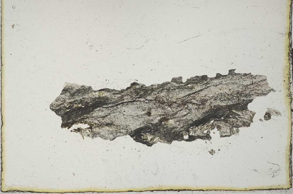 Plane Polarized, S20544