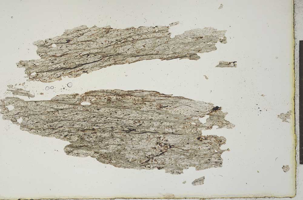 Plane Polarized, S20547