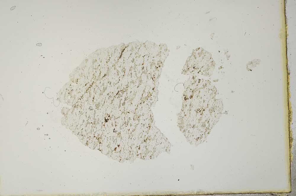 Plane Polarized, S20552