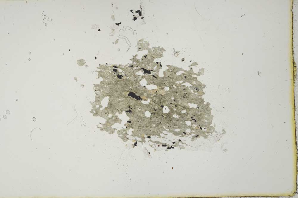 Plane Polarized, S20559