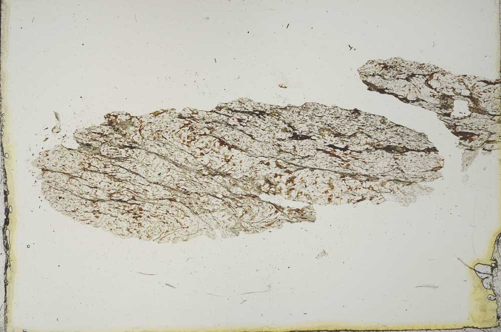 Plane Polarized, S20561