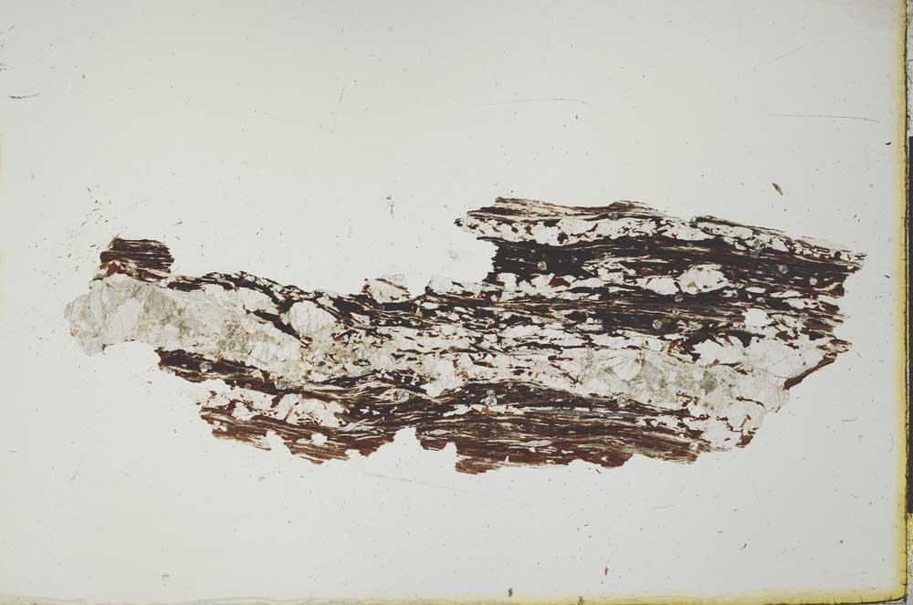 Plane Polarized, S20568