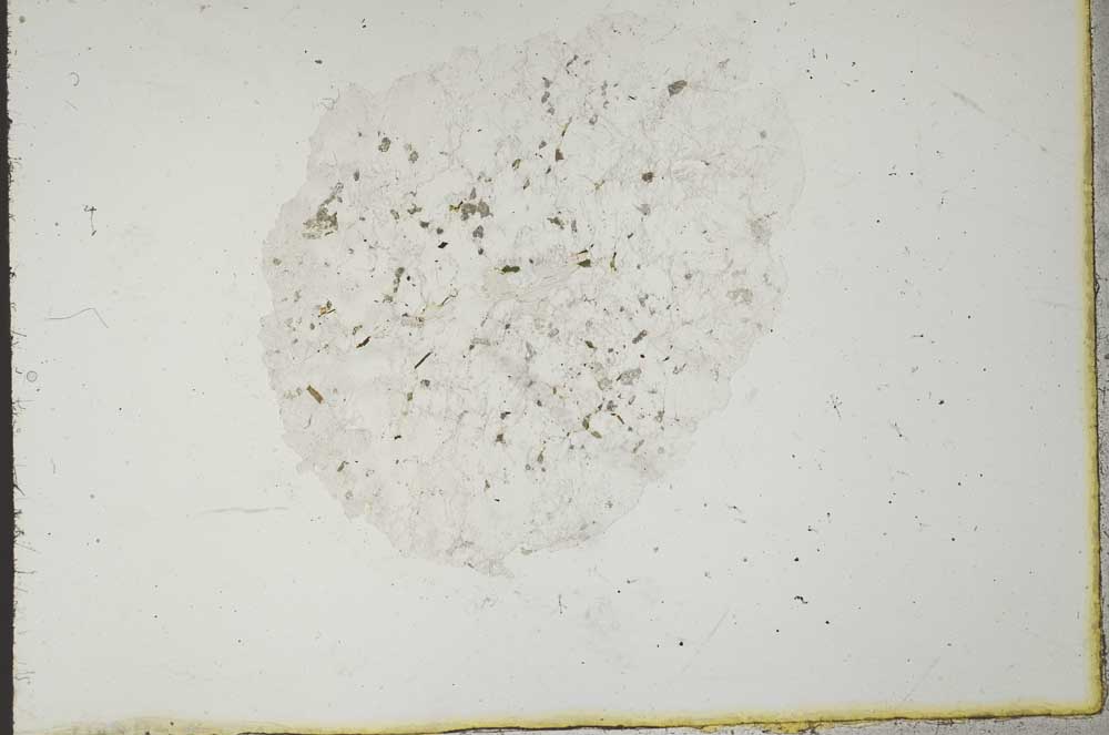 Plane Polarized, S20570