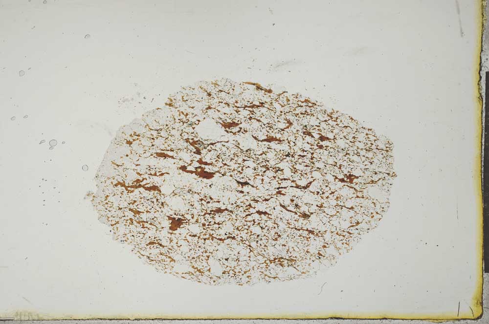 Plane Polarized, S20572