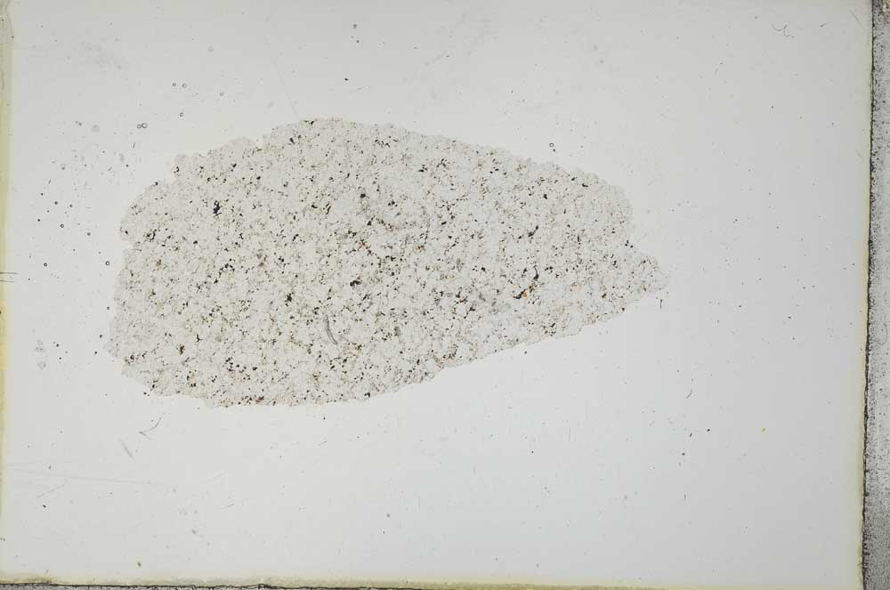 Plane Polarized, S20583