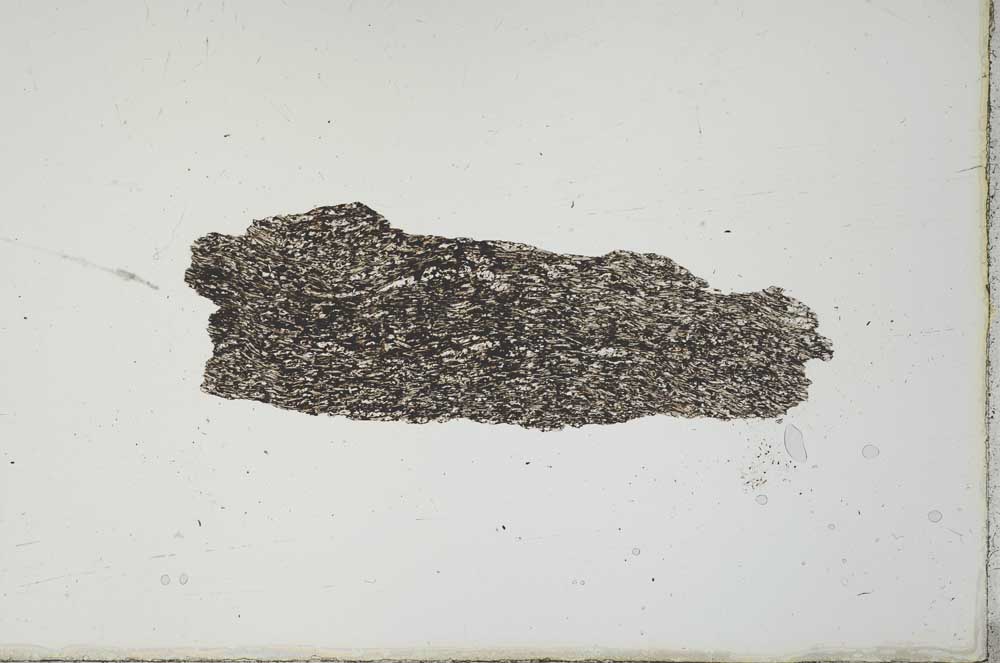 Plane Polarized, S20584