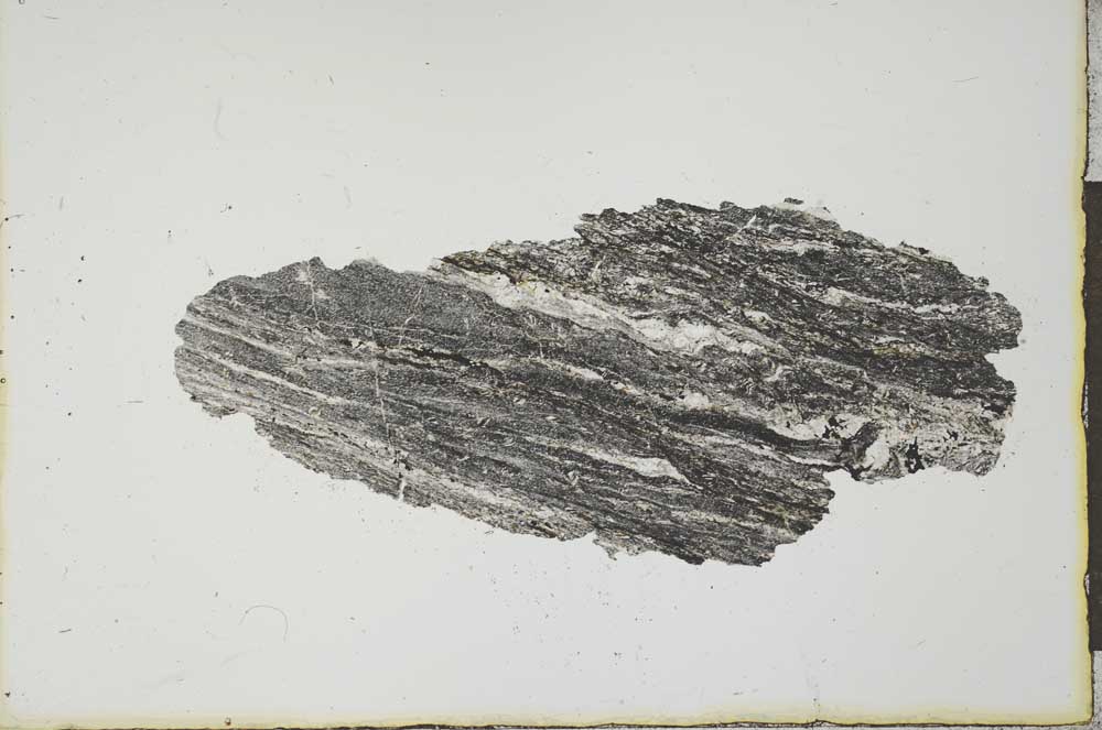 Plane Polarized, S20587