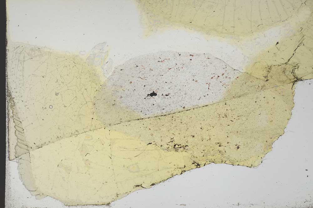 Plane Polarized, S20588